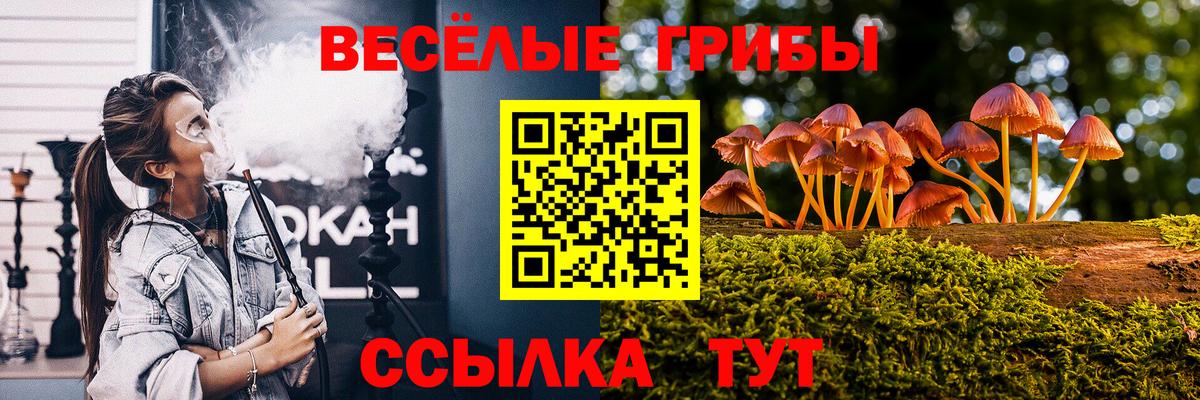 Галлюциногенные грибы прущие грибы  Вход с VPN  Галлюциногенные грибы мицелий  Отрадный 